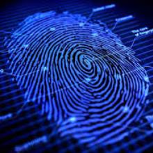 تشخیص هویت با استفاده از اثر انگشت